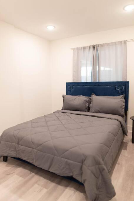 Platinum Palace 1Br 1Ba - Central Dallas Stay Eksteriør billede