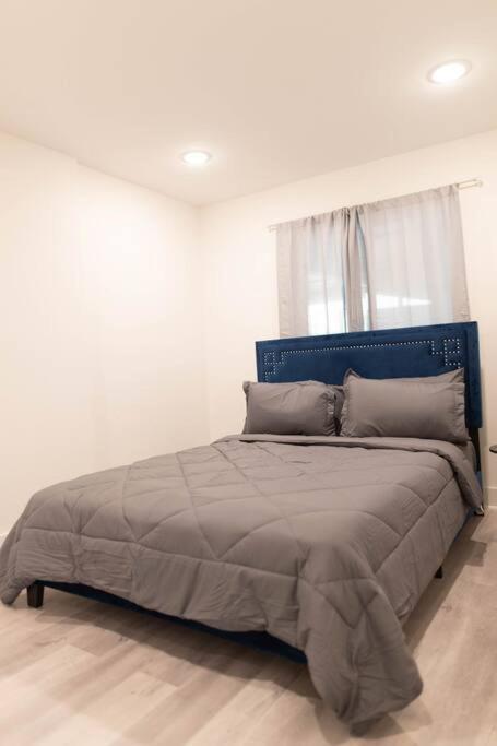 Platinum Palace 1Br 1Ba - Central Dallas Stay Eksteriør billede